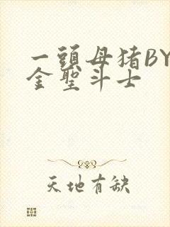 一头母猪BY黄金圣斗士封面