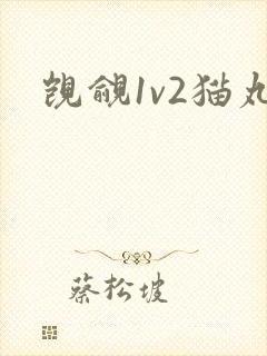 觊觎1v2猫丸封面