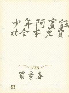 少年阿宾钰慧txt全本免费阅读封面