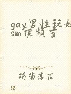 gay男性玩奴sm视频有