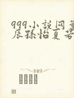 999小说网叶辰孙怡夏若雪