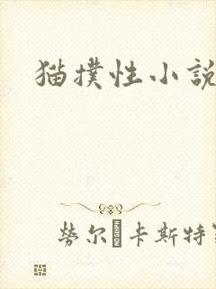 猫扑性小说封面