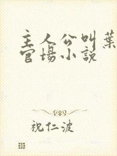 主人公叫叶阳的官场小说