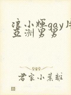 浪小辉gay片亚洲男男
