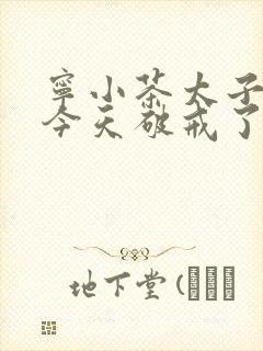 宁小茶太子殿下今天破戒了吗免费阅读