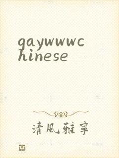gaywwwchinese