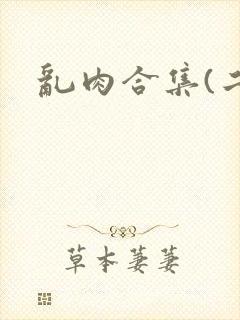 乱肉合集(二)封面