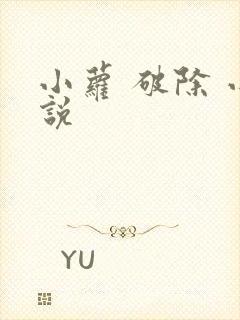 小萝 破除 小说