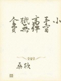 全职高手小说免费无弹窗