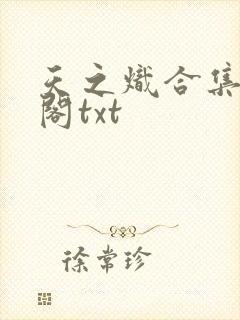 天之炽合集笔趣阁txt