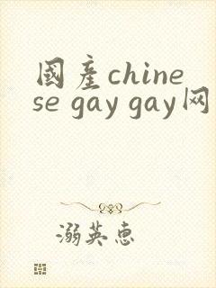 国产chinese gay gay网站封面