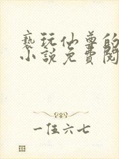 亵玩仙尊的道侣小说免费阅读