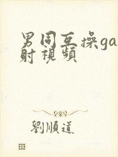 男同互操gay射视频