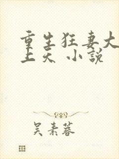 重生狂妻大佬宠上天 小说