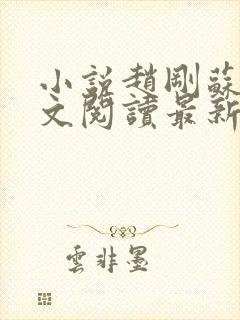 小说赵刚苏柔全文阅读最新章节