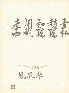 老周和赵青穷游西藏窃窃私语