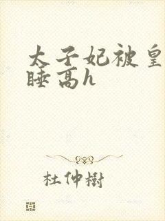 太子妃被皇上强睡高h封面