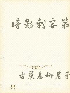 暗影刺客第五季