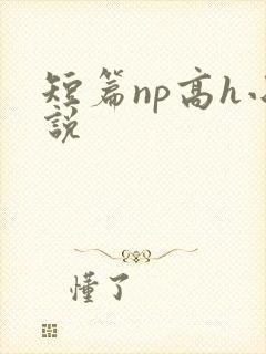 短篇np高h小说封面