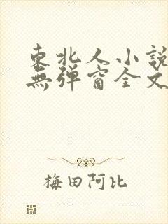 东北人小说免费无弹窗全文阅读