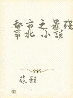 都市之最强战神宁北 小说