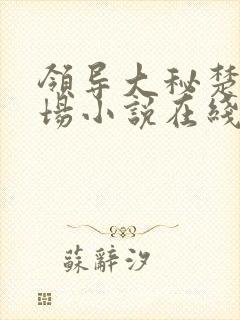 领导大秘楚晨官场小说在线