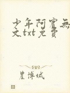 少年阿宾无删全文txt免费封面