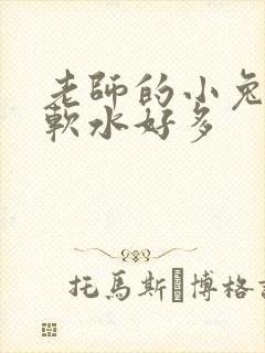 老师的小兔子好软水好多