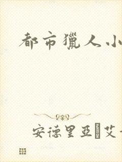 都市猎人小说封面