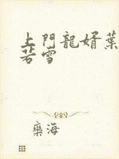 上门龙婿叶凡唐若雪