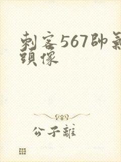 刺客567帅气头像