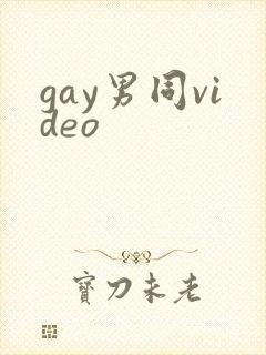 gay男同video