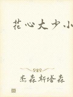 花心大少小说