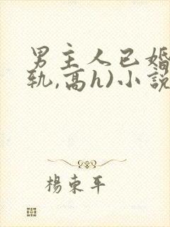 男主人已婚(出轨,高h)小说