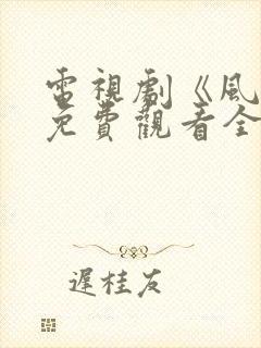 电视剧《风筝》免费观看全集高清封面