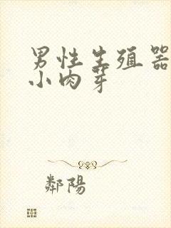 男性生殖器上张小肉芽