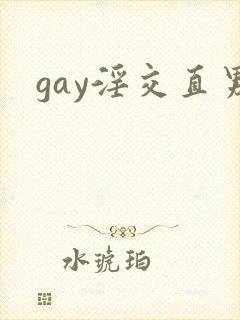 gay淫交直男