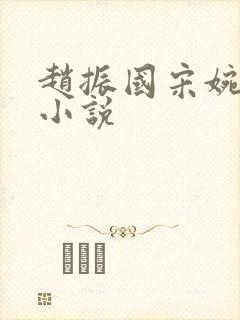 赵振国宋婉清的小说封面