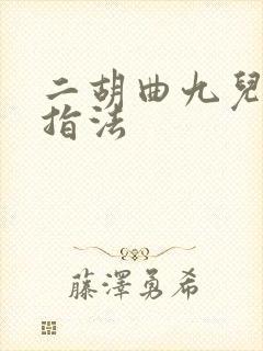 二胡曲九儿曲谱指法