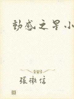 动感之星小蝶封面