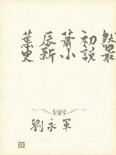 叶辰萧初然最快更新小说最新