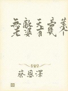 无敌天帝叶凡的老婆有几个