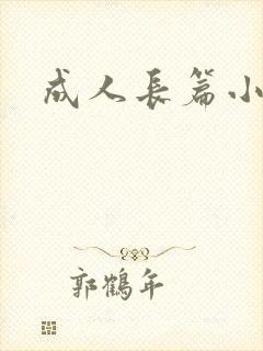 成人长篇小说封面