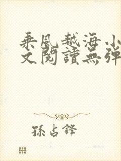 乘风越海小说全文阅读无弹窗