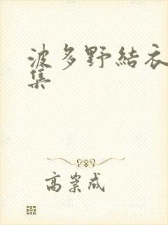 波多野结衣作品集封面