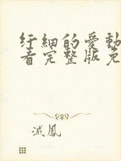 纤细的爱动漫观看完整版免费观看