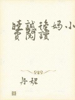 晓诚后妈小说免费阅读封面