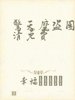 惊天魔盗团2高清免费