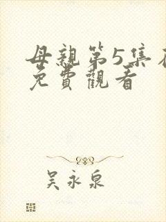 母亲第5集在线免费观看封面