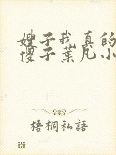 嫂子我真的不是傻子叶凡小说笔趣阁